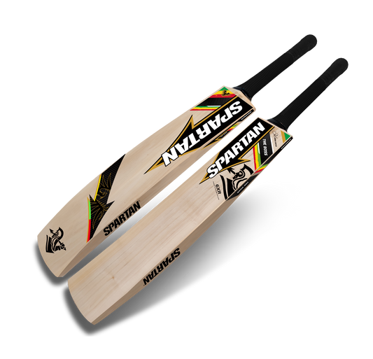 Budget Kashmir willow bat for academy and club cricket