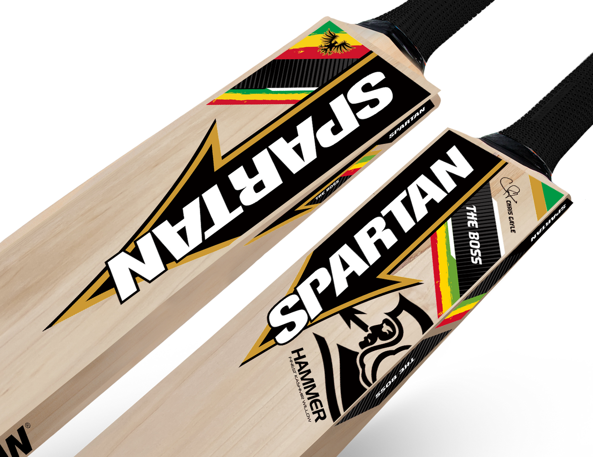 CG Hammer 166 – Kashmir Willow Cricket Bat Spartan Sports
