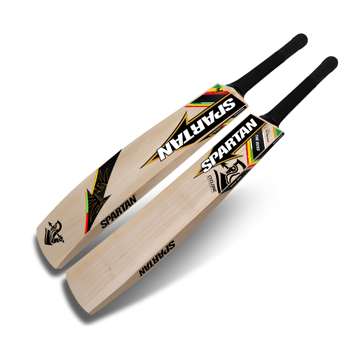 Professional Kashmir willow cricket bat for field practice