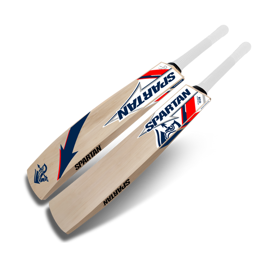 Kashmir willow cricket bat for tennis ball and training