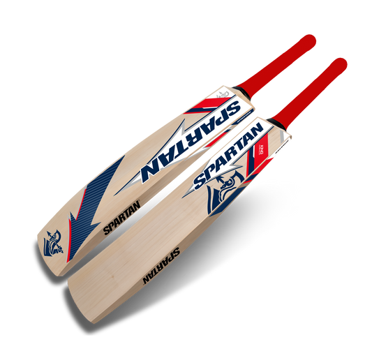 Kashmir willow bat for junior and intermediate players