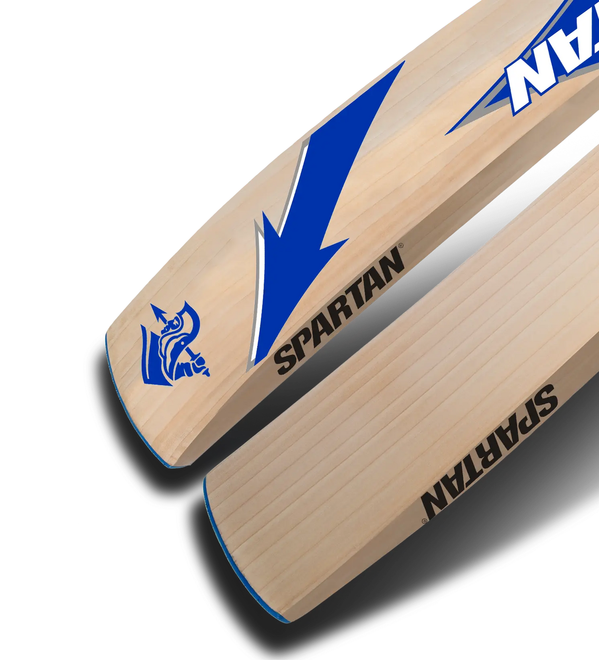 Limited Edition Englsih Willow Bat Spartan