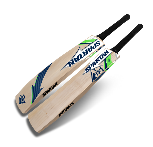 Premium Kashmir willow cricket bat for beginners
