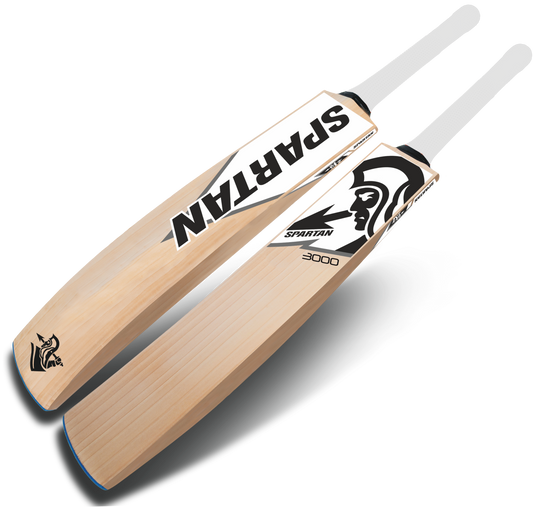 Superior English willow bat for club and league cricket