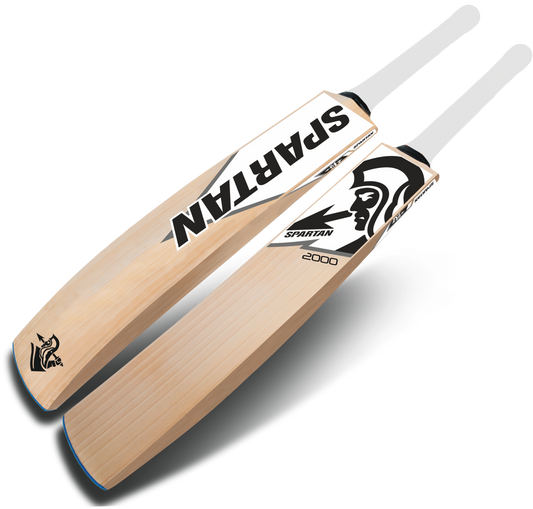 English willow cricket bat with large sweet spot