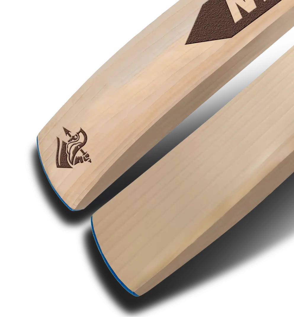 SPARTAN SHADOW (Engraved) English Willow Bat Spartan