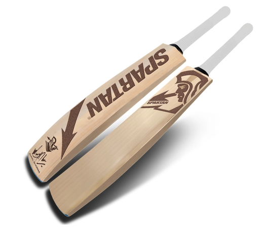 English willow cricket bat with superior balance
