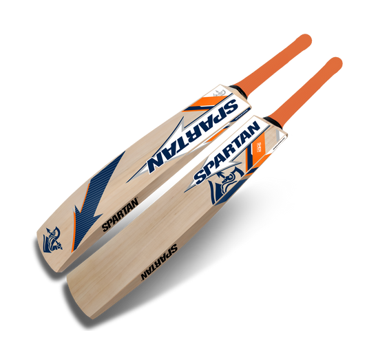 Affordable Kashmir willow bat for everyday cricket play