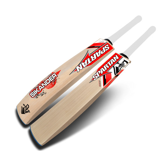 Lightweight English willow bat for leather ball cricket