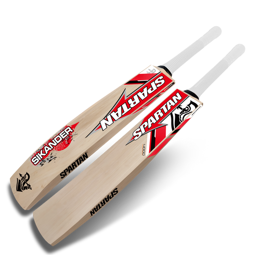 Kashmir willow cricket bat with sturdy build and balance