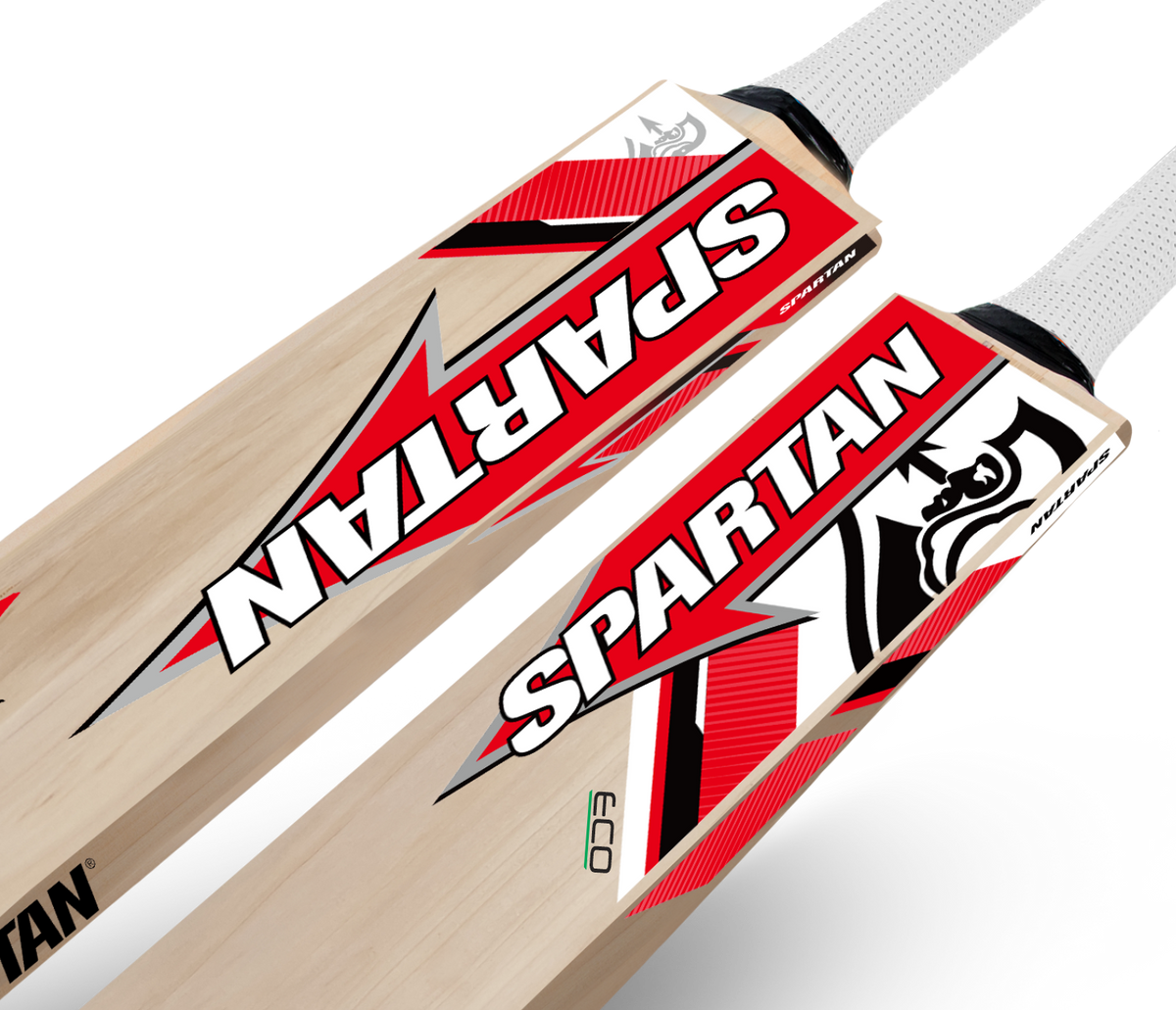 Sikender ECO CB 185 - Kashmir Willow Cricket Bat Spartan Sports